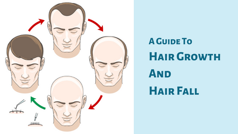 A Guide To Hair Growth And Hair Fall - The Stages, Causes, And Effects